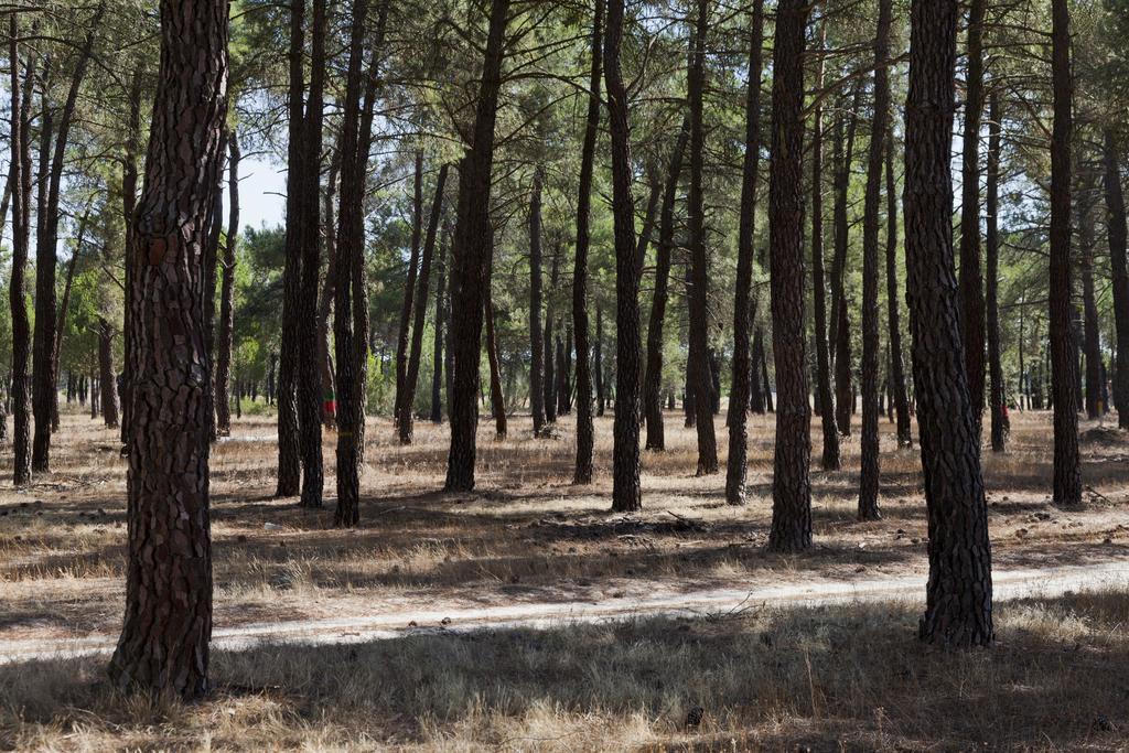 Tiara Vacaciones Βίλα Nava de la Asuncion Εξωτερικό φωτογραφία